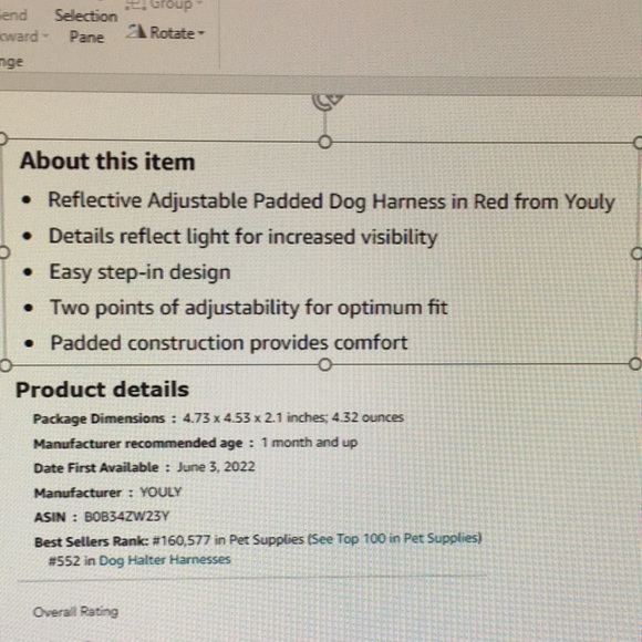 YOULY Reflective Adjustable Padded Dog Harness.  Medium. - Picture 10 of 11